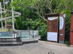 -碧水湾温泉