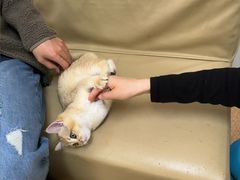 -宠颐生中康贝怡动物医院
