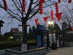 -大槐树寻根祭祖园