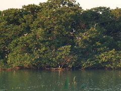 -海珠湖公园