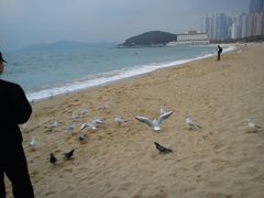 -海云台海滩