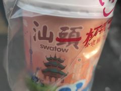 -南澳岛打卡果汁冰公司