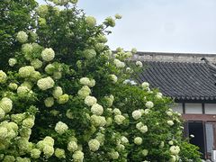 -常熟方塔园