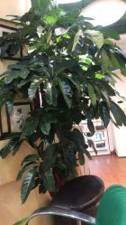 -艺米阳光Hair Salon