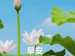 -常德书法幼儿园