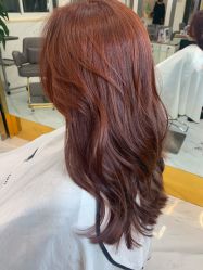 -潘多拉Hairsalon