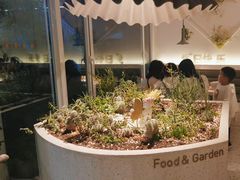 -春树下·树屋花房西餐厅(罍街AS1980店)