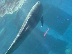 -福州罗源湾海洋世界旅游区