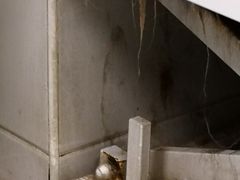 -达爱动物医院·犬猫分区·CT·复杂眼科(远洋山水分院)