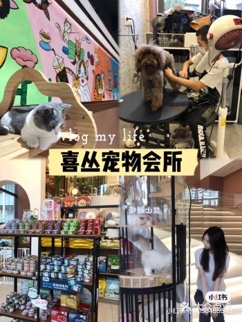东莞探店｜喜丛宠物会所