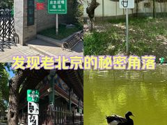-宣武艺园