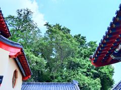 -九华山公园