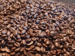 -星巴克臻选(南京艾尚天地店)