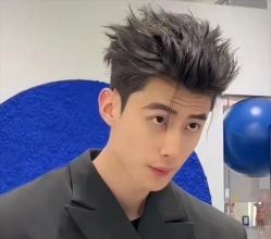 点击看大图 -金派发型