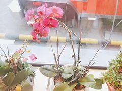 -名盛园饭店清真(龙潭区店)