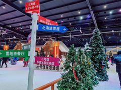 -宁波冰雪大世界(北仑区)