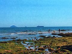 -青岛得宝湾维景国际大酒店(五四广场奥帆中心店)