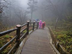 -峨眉山风景名胜区