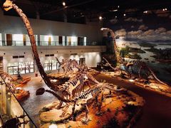 -自贡恐龙博物馆