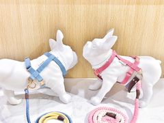 -Double Rui宠物酒店