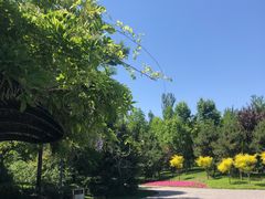 -北极寺公园