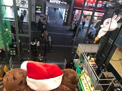 -line friends(明洞旗舰店)