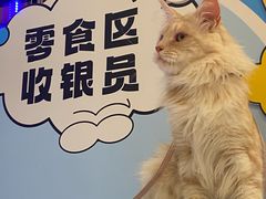 -帕帕拉兹宠物(亚洲旗舰店)