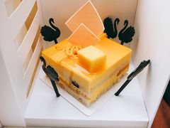 -BLACKSWAN黑天鹅(环球店)