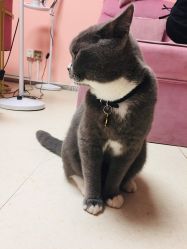 -Pink You美甲美睫纹绣定制中心