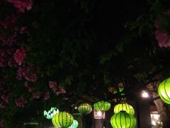 -会安古镇