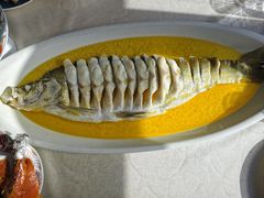 鸡汁大白鱼-食悦江南·淮扬菜·烤鸭(亚运村·惠新店)
