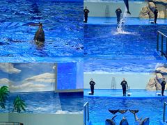 -福州罗源湾海洋世界旅游区