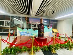 -石家庄正定国际机场-T2航站楼