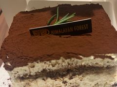 -喜马拉雅森HIMALAYAN FOREST