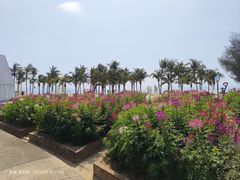 -玫瑰海岸文化旅游度假区