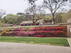 -红螺寺
