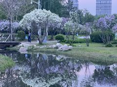 -群力丁香公园