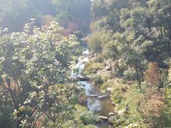 -云溪植物园