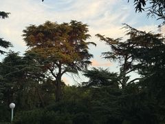 -CafeDuVillage乡村咖啡馆(美邻苑店)