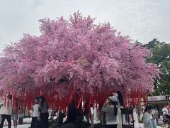 -万事利丝绸(杭州大厦店)