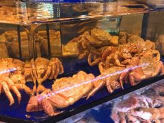 -蟹道乐(道顿堀本店)