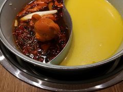 -青瓷火锅料理(西单大悦城店)