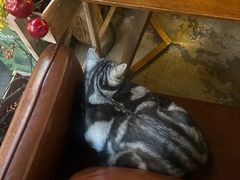 -咖法森林·咖啡  酒吧(天河店)