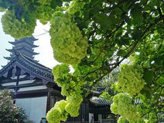 -常熟方塔园