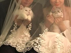 -Bastet sally猫舍购宠(静安店)