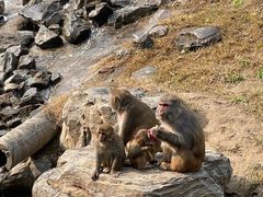 -北京野生动物园