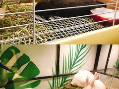 -藦茜花园宠物主题亲子互动体验馆(国顺东路店)
