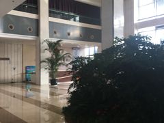 -杭州文化广播电视集团