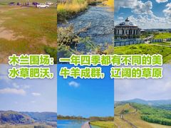 -塞罕坝国家级自然保护区