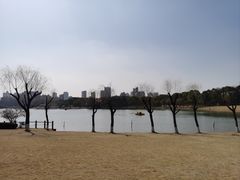 -黄兴公园